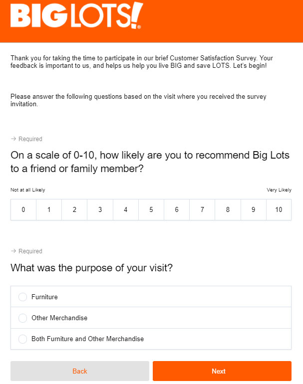 BigLotsSurvey Overall satisfaction Image