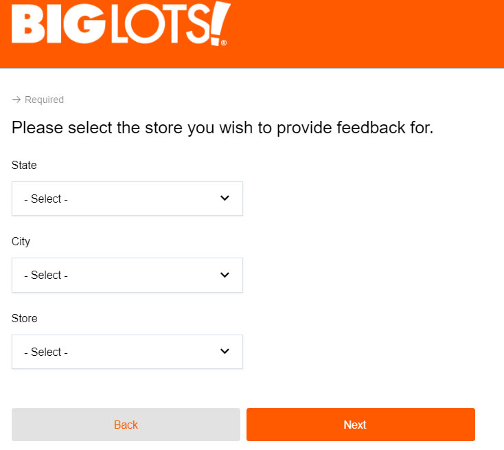 Big Lots online survey without purchase image