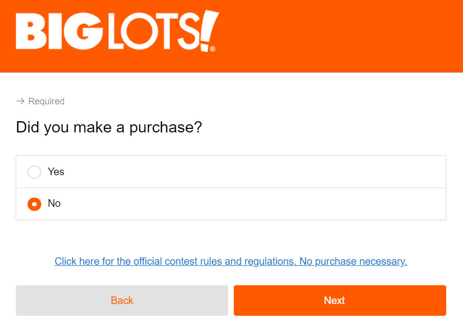 Biglots Survey without purchase Image