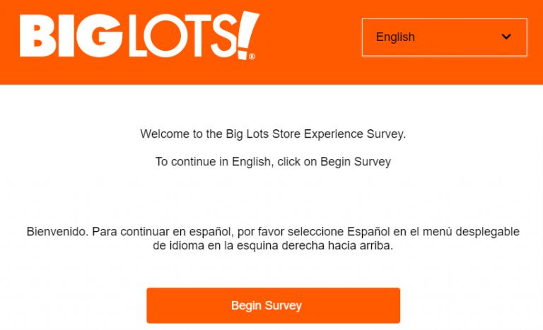 Biglotssurvey entry Image