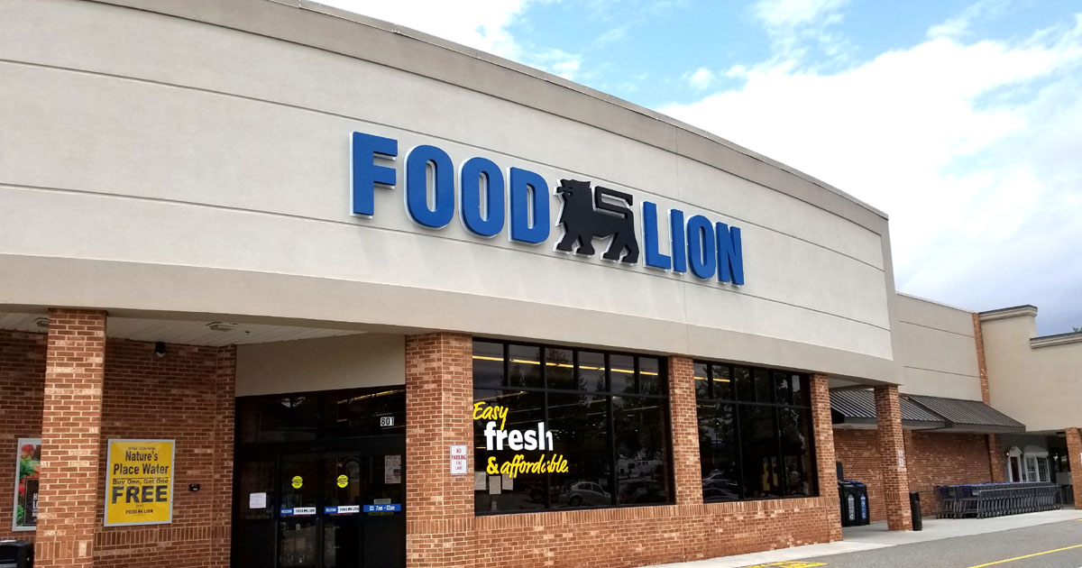 Food Lion Survey Image