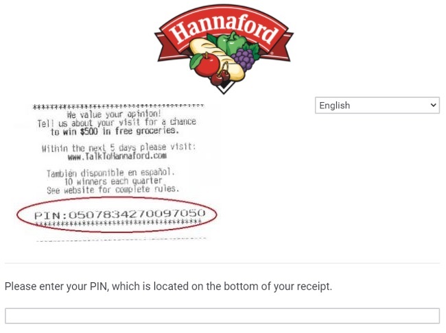 hannaford survey code entry image